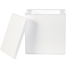 8 x 6 x 9″ Insulated Foam Containers (8/case)