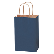 5 1/2 x 3 1/4 x 8 3/8″ Navy Tinted Shopping Bags (250/case)