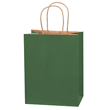 8 x 4 1/2 x 10 1/4″ Green Tinted Shopping Bags (250/case)