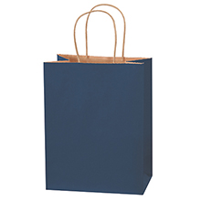 8 x 4 1/2 x 10 1/4″ Navy Tinted Shopping Bags (250/case)
