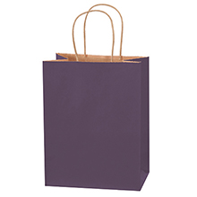 8 x 4 1/2 x 10 1/4″ Purple Tinted Shopping Bags (250/case)