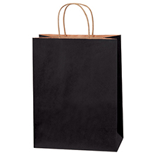 10 x 5 x 13″ Black Tinted Shopping Bags (250/case)
