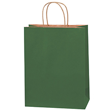 10 x 5 x 13″ Green Tinted Shopping Bags (250/case)