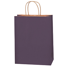 10 x 5 x 13″ Purple Tinted Shopping Bags (250/case)
