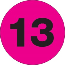 2″ Circle - ″13″ (Fluorescent Pink) Number Labels