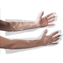 Clear Poly Gloves - 1 Mil - 18