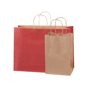 Paper Bags with Handles