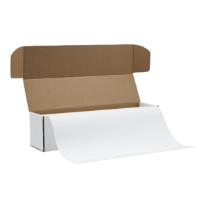 Parchment Paper