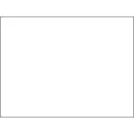 3 x 4" White Inventory Rectangle Labels