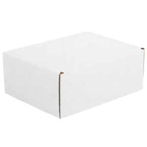 11 1/8 x 8 3/4 x 4" White Deluxe Literature Mailers (50/bundle)